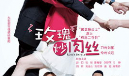 玫瑰炒肉丝电视剧全集,爱恨情仇的美食传奇