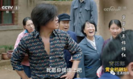 岁岁年年柿柿红电视剧全集,岁月流转的温情岁月