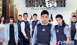 警察锅哥电视剧全集免费观看,揭秘警界传奇，正义与智慧的较量